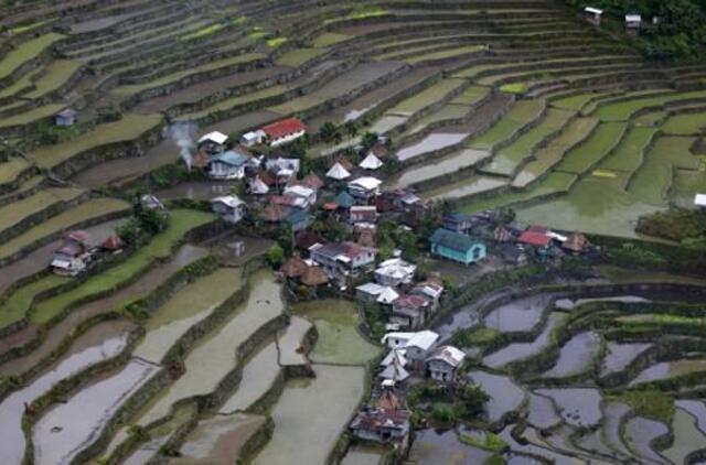 Filipinuose - dar vienas pasaulio stebuklas