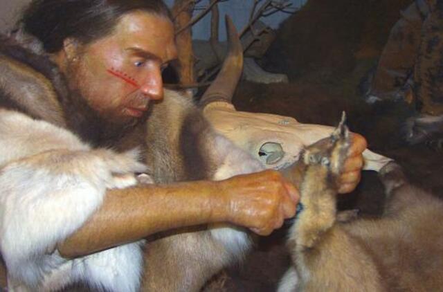Neandertaliečiai buvo vegetarai, kurie peniciliną ir aspiriną naudojo kaip vaistus