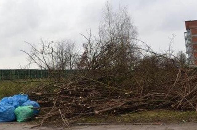 Šakas reikia rūšiuoti tvarkingai