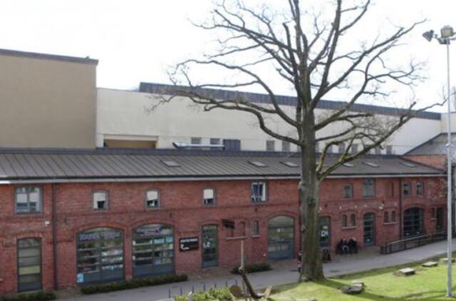 Ką byloja seniausi miesto medžiai?