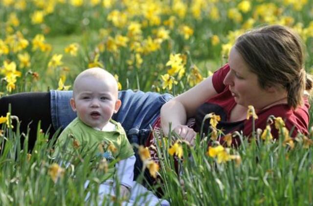 Kaip išgyventi už 326€?