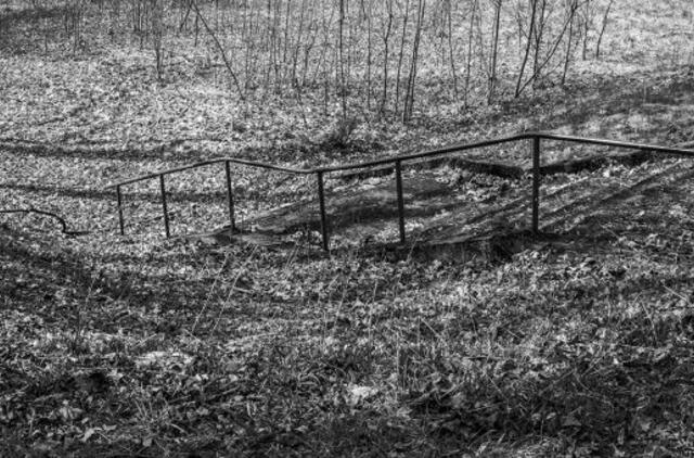 Meno skyriuje - Jevenijos Škaliovos fotografijos paroda