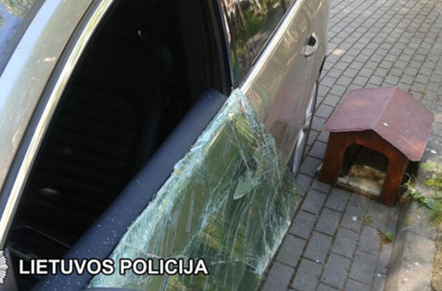 Sulaikytas įtariamasis vogęs “Volkswagenų” multimedijas