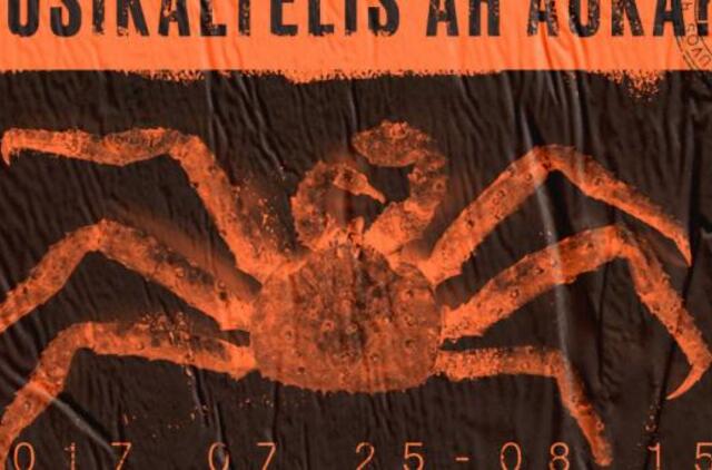 Jūrų muziejus pasiruošęs pasitikti Jūros šventę