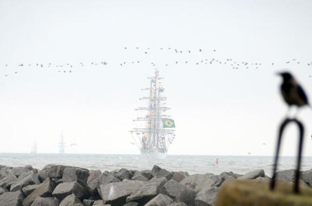 Šventėje laukiama daugiau nei pusės milijono svečių