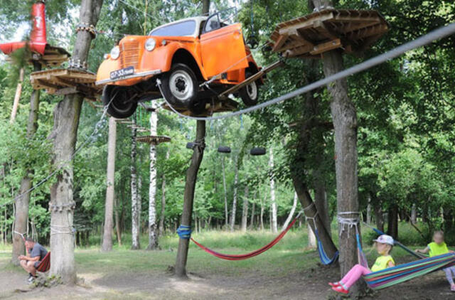 Ar kenkia automobilis medyje?