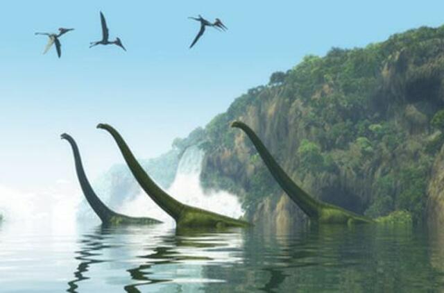Kinijos pietuose rasta unikalių dinozaurų pėdsakų, kurių amžius - 180 milijonų metų