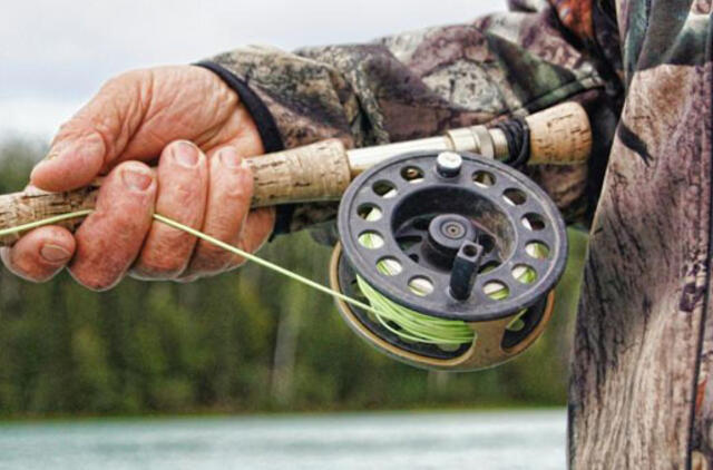 Per Žolinę žvejokite nemokamai