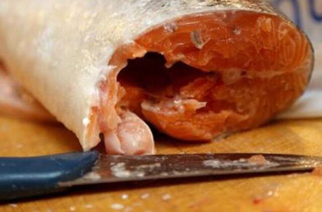 Perspėjimas iš Norvegijos – Europoje gali būti prekiaujama vogtomis šviežiomis lašišomis