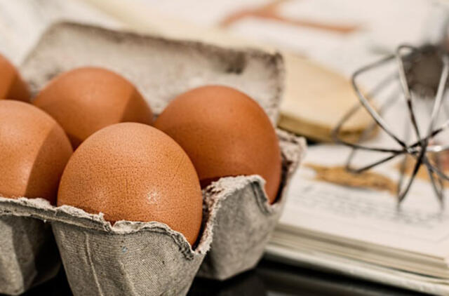 Pesticidu fipronilu užterštų produktų Lietuvoje neaptikta