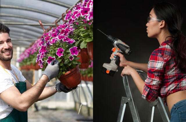 Ieškote darbo? Laisvos vietos Klaipėdos regione