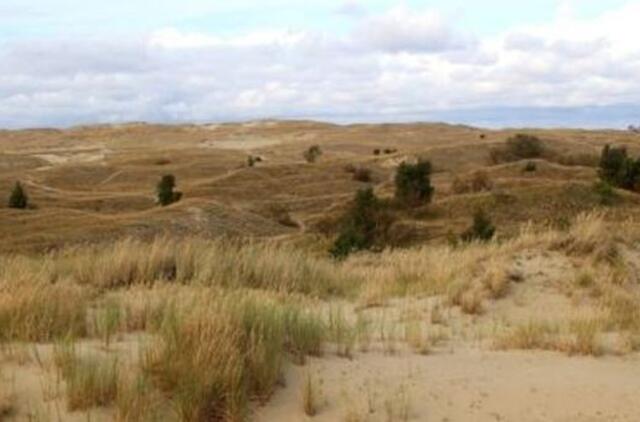 Neringai grąžins pirmykštį kraštovaizdį