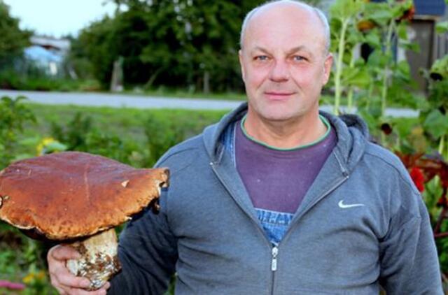 Rekordininkas baravykas svėrė 2,6 kg