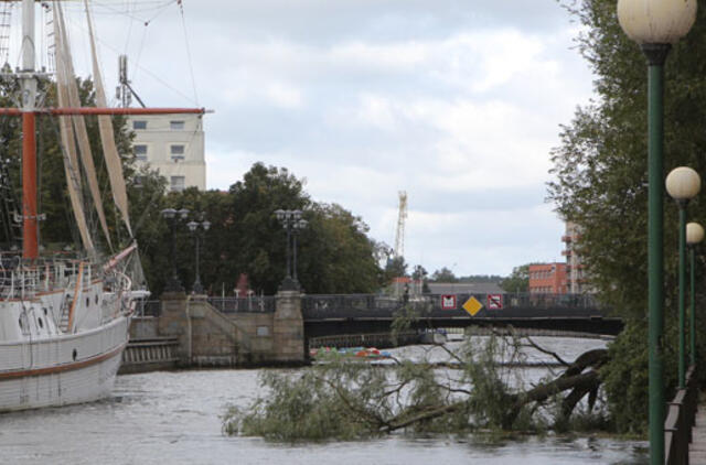 Stiprus vėjas klaipėdiečiams pridarė nuostolių