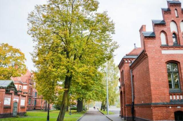 Klaipėdos universitetas pateikė kreipimąsi dėl savarankiško universiteto statuso išlaikymo