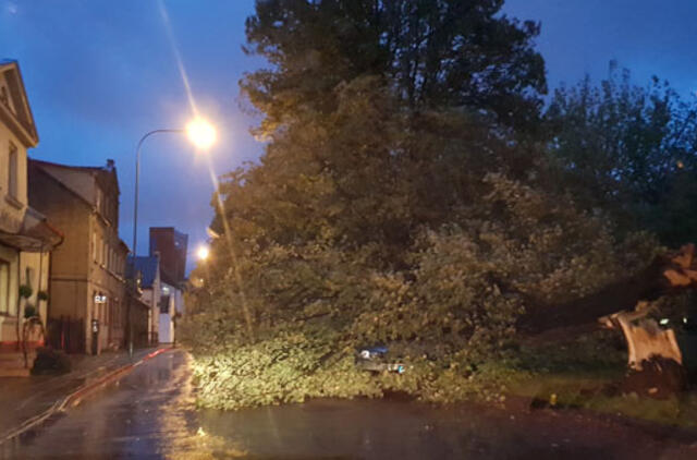 Pajūryje vėjas vartė medžius