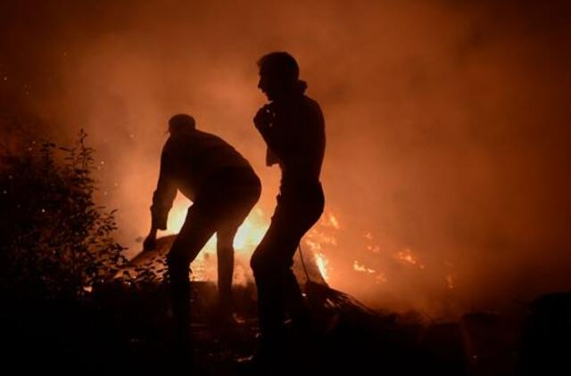 Miškų gaisrų Ispanijoje ir Portugalijoje aukų skaičius išaugo iki devynių