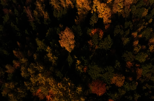 „Skrajojančių ežerų“ regėjimai