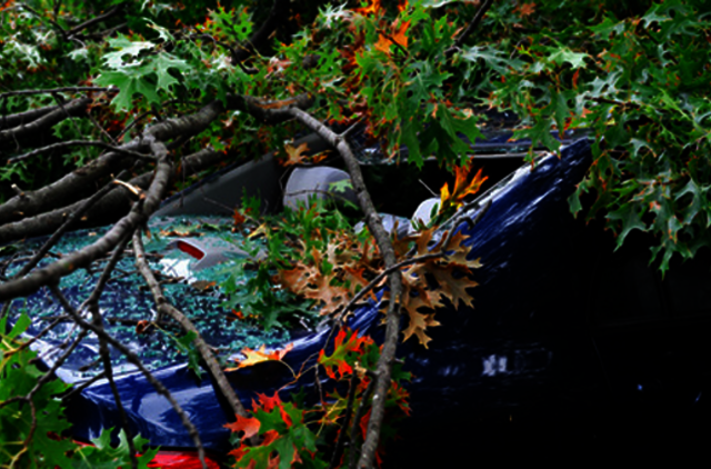 Vėjo nulaužti medžiai apgadino automobilius