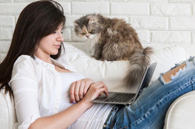 Ieškote darbo? Laisvos vietos Klaipėdos regione