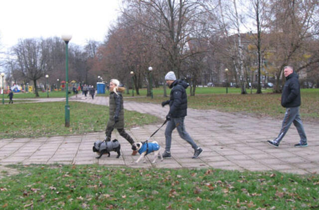 Dangės skvero rekonstrukcija: padėtis stabilizuota