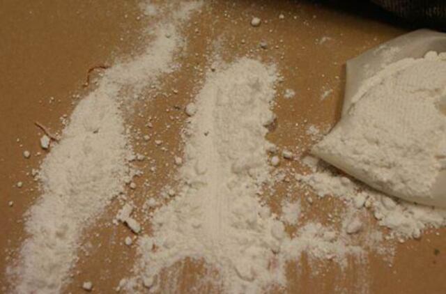 Muitinė sunaikino 575 kg kokaino