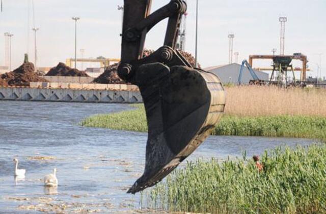 Reikšmingiausi 2017-ųjų nutikimai žuvies akimis