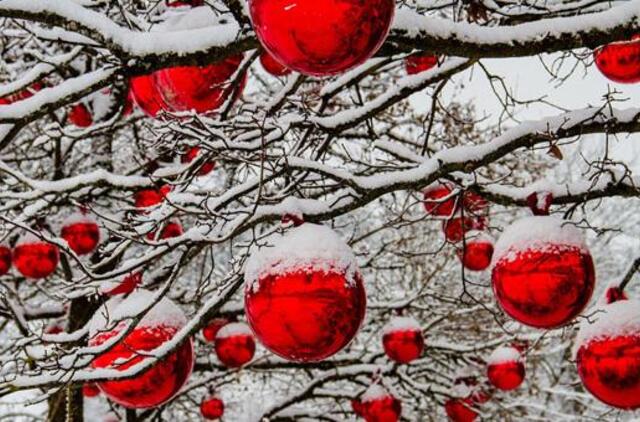 Tiems, kas puošia eglutę kieme, yra pasiūlymas