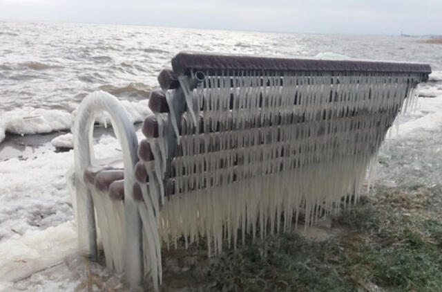 Nidoje - išskirtinės ledo skulptūros