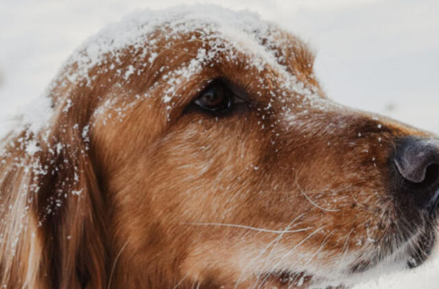 Sekmadienį sulauksime orų permainų