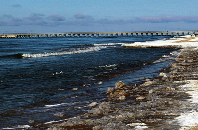 Palangoje laukia itin reto gamtos reiškinio