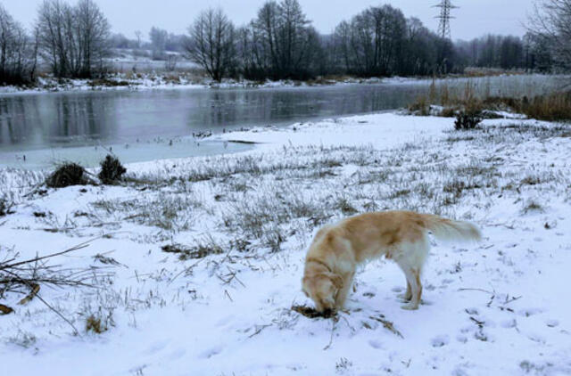 Vasario 16-ąją laukiama orų permainų