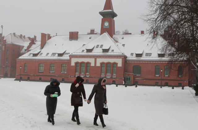 Klaipėdoje neliks 16 bakalauro studijų programų