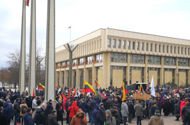 Prie Seimo mitingavo tūkstantinė minia