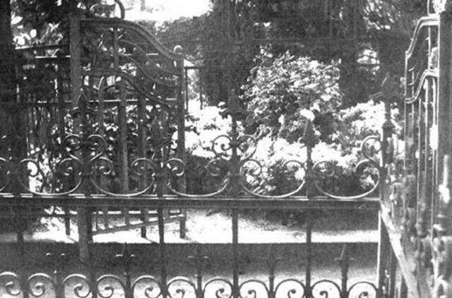 Profesorių nekropolis