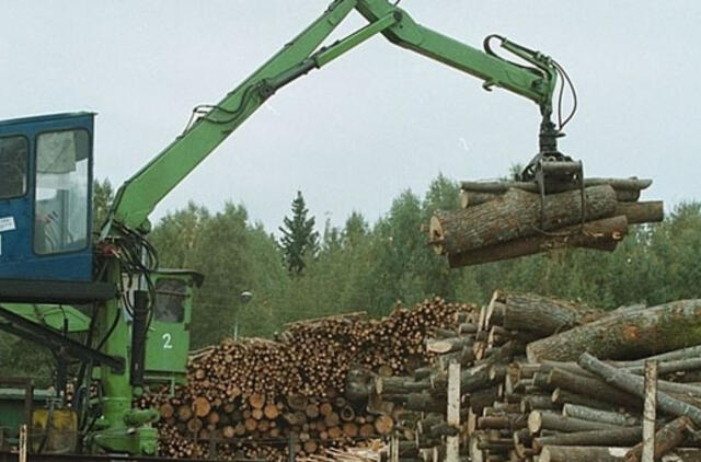 Užsieniečiams – valstybės mediena, regionų verslui – bankrotai