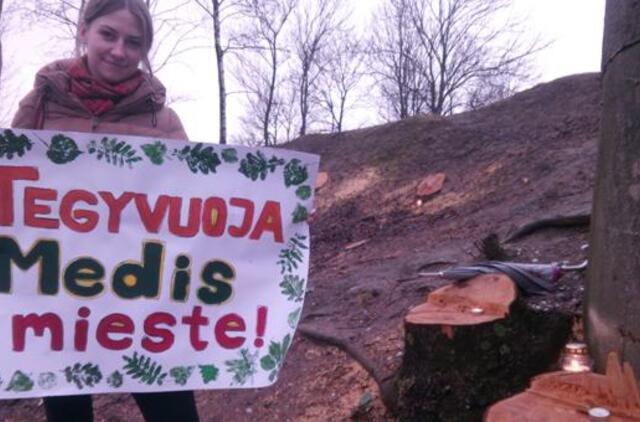 Žvakelėmis pagerbė iškirstus medžius