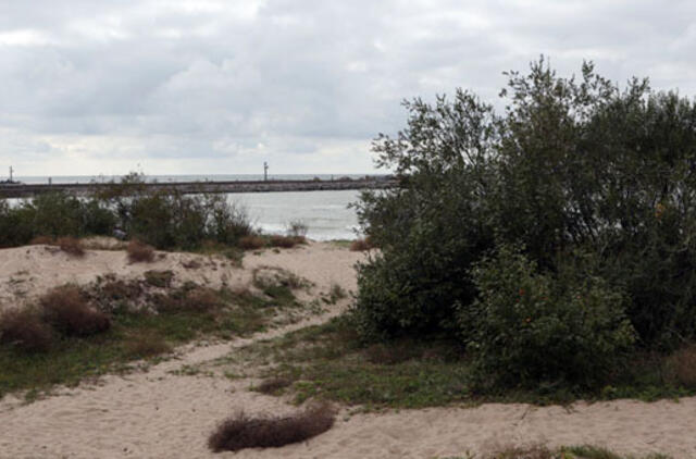 Kol įrengs išorinį uostą, Melnragės parkas spės nusidėvėti?