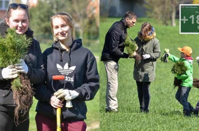 „Mogiliove" prisodino pušaičių