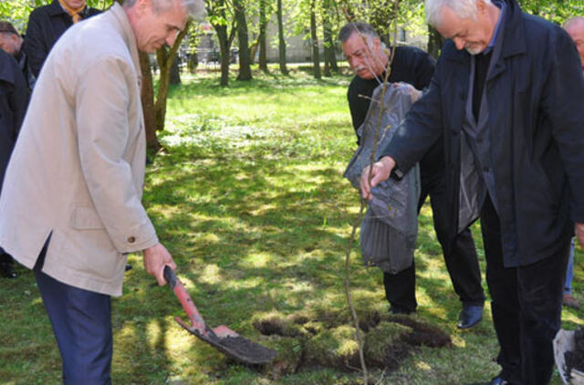Antaną Lukoševičių primins ąžuolas