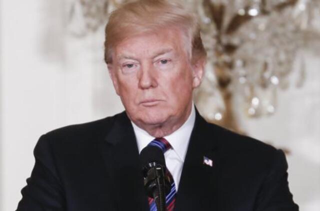 Ekologai nori Arktyje iškirsti iš ledo 35 metrų aukščio Donaldo Trumpo galvą
