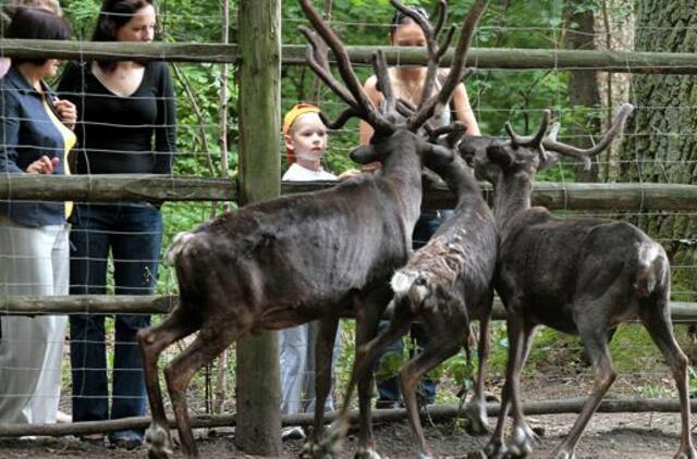 Milijoniniai Lietuvos zoologijos sodo viešieji pirkimai sustabdyti - teismas priėmė sprendimą