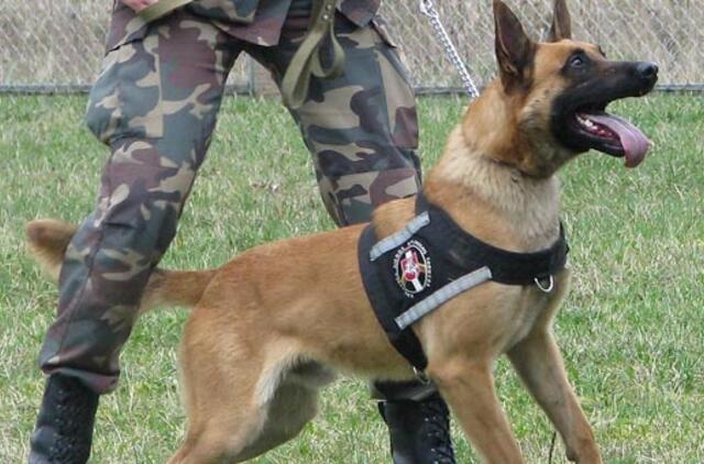 Pasieniečių šuo miške surado sveikatos problemų turėjusį vyrą