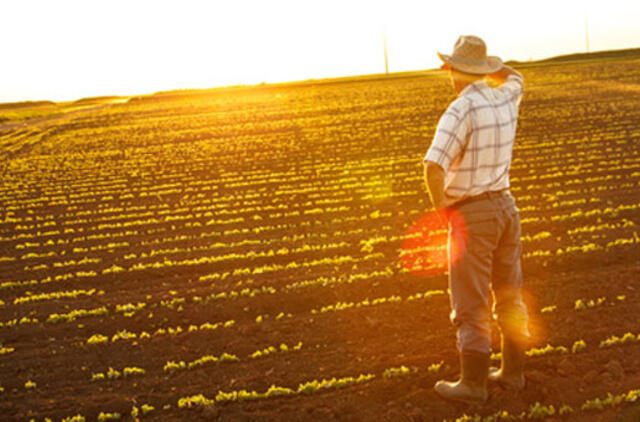 Žemdirbiai dėl karštų ir sausų orų žada prastesnį derlių