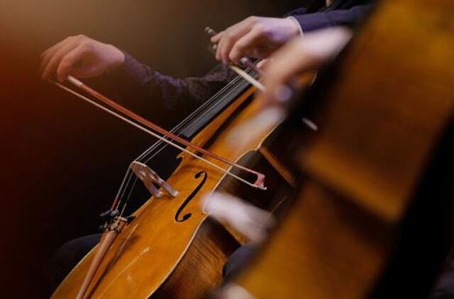 Violončelės akademija kviečia į nemokamus koncertus