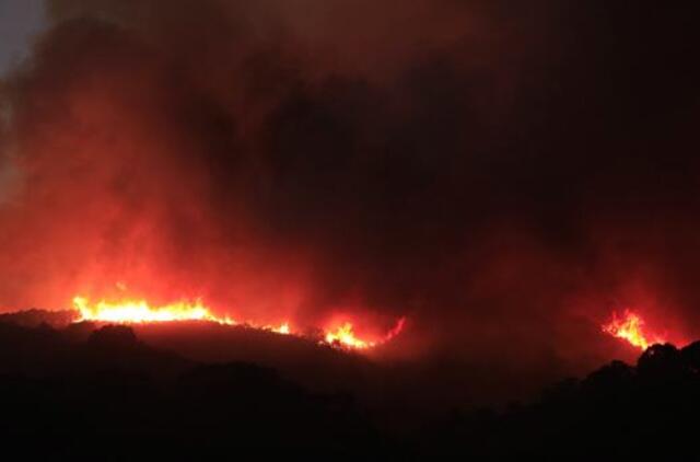 Kalifornijoje miško gaisrų plotas viršijo tūkstantį kvadratinių kilometrų, žuvo aštuoni žmonės
