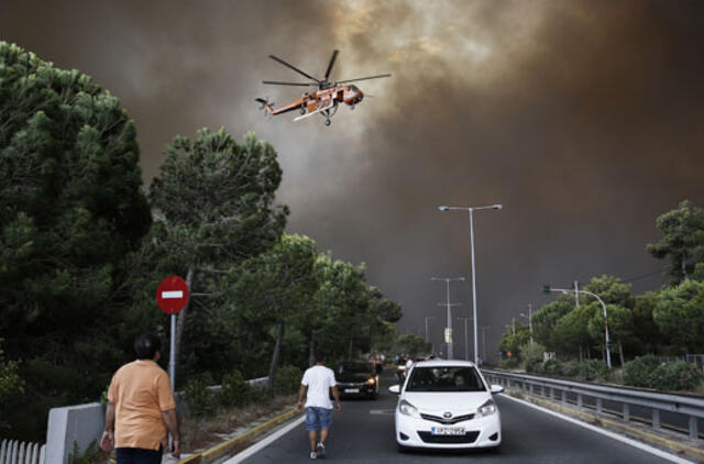 Miško gaisrų prie Atėnų aukų skaičius išaugo iki 50 žmonių
