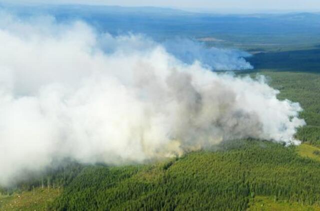 Švedija susiduria su itin didele naujų miškų gaisrų rizika