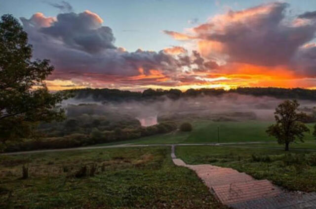 Minijos upėje masiškai gaišta žuvys