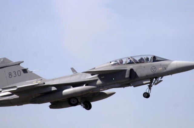 Susidūręs su paukščiu sudužo Švedijos oro pajėgų naikintuvas, pilotas nenukentėjo